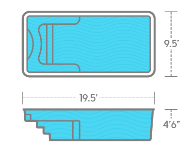 Sea Turtle Diagram