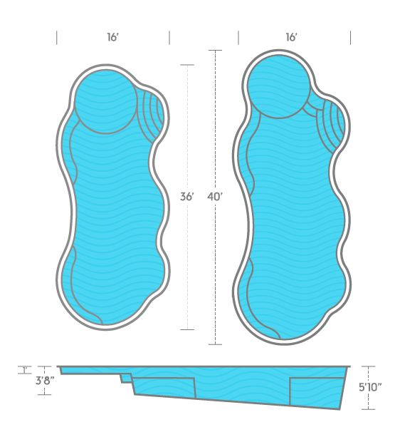 Wellspring Diagram